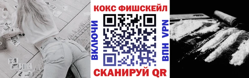 Купить  Вельск  COCAIN Fish Scale 