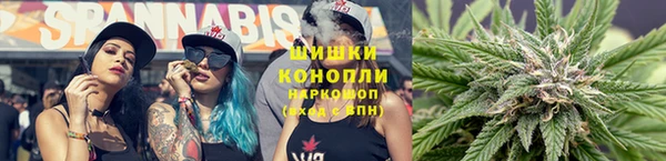 эйфоретик Иннополис