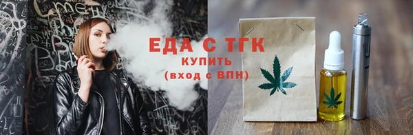 тгк Инсар