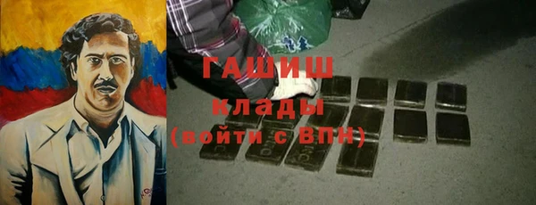 тгк Инсар