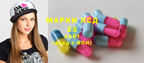 тгк Инсар