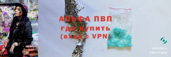 эйфоретик Иннополис