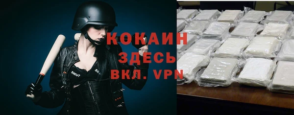 тгк Инсар