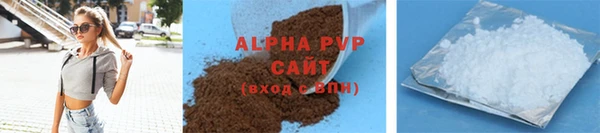 тгк Инсар
