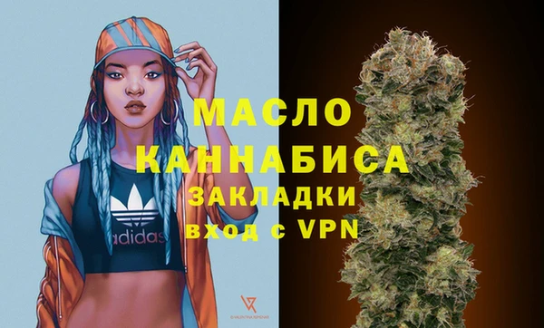 тгк Инсар