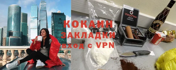 тгк Инсар