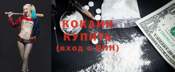 тгк Инсар