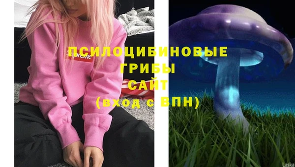 эйфоретик Иннополис