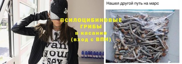 тгк Инсар
