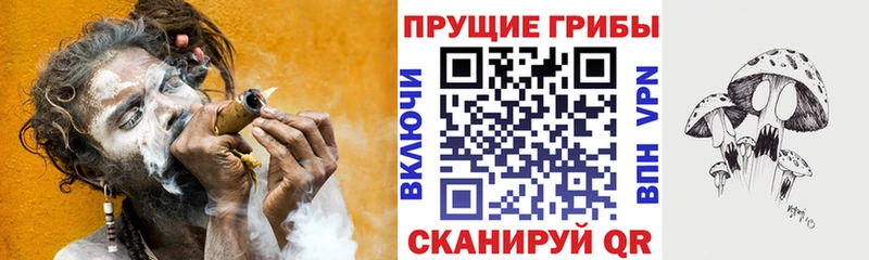 Псилоцибиновые грибы Psilocybine cubensis  Купить закладки  Вельск 